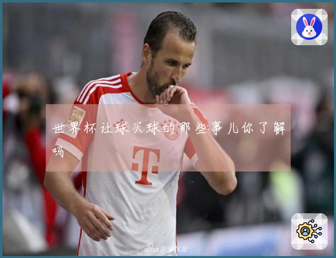 世界杯让球买球的那些事儿你了解吗