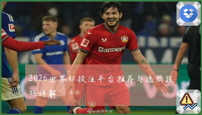 2026世界杯投注平台推荐与选购技巧详解