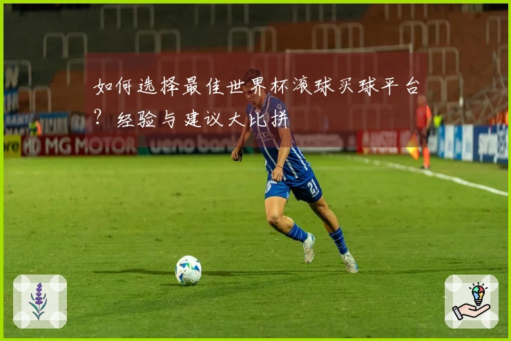 如何选择最佳世界杯滚球买球平台？经验与建议大比拼