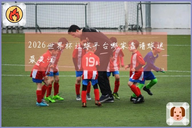 2026世界杯让球平台哪家靠谱球迷最关注