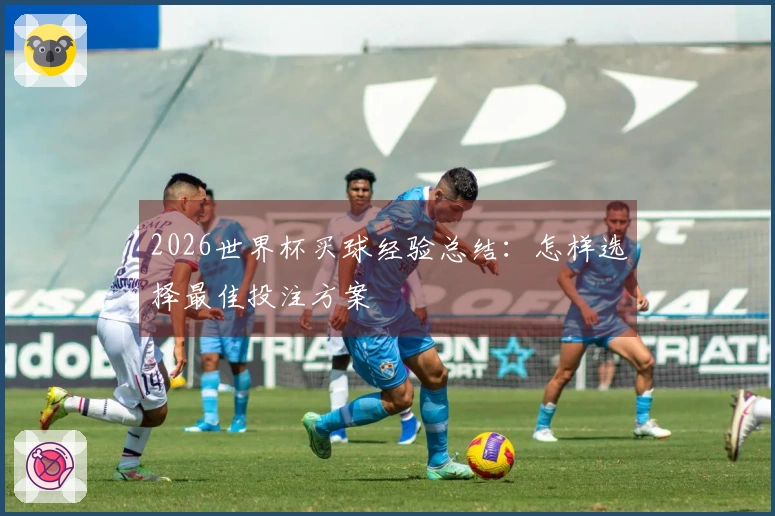 2026世界杯买球经验总结：怎样选择最佳投注方案